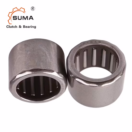 Hf3020 One-Way Clutch/One Way Needle Bearing with Steel Springs