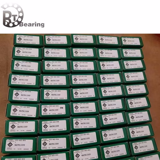 INA/FAG/NSK/Koyo Natr10PP Roller Bearing Natr6-PP/Natr8-PP/Natr10-PP/Natr12-PP Yoke-Type Track Rollers